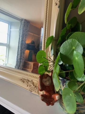Вілла Dolgellau Townhouse 2 Minutes To Town & Mountains Екстер'єр фото