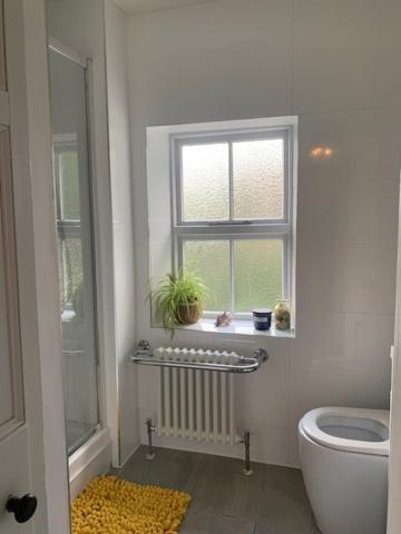 Вілла Dolgellau Townhouse 2 Minutes To Town & Mountains Екстер'єр фото